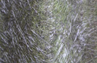 Kettleshulme fibreglass roof work